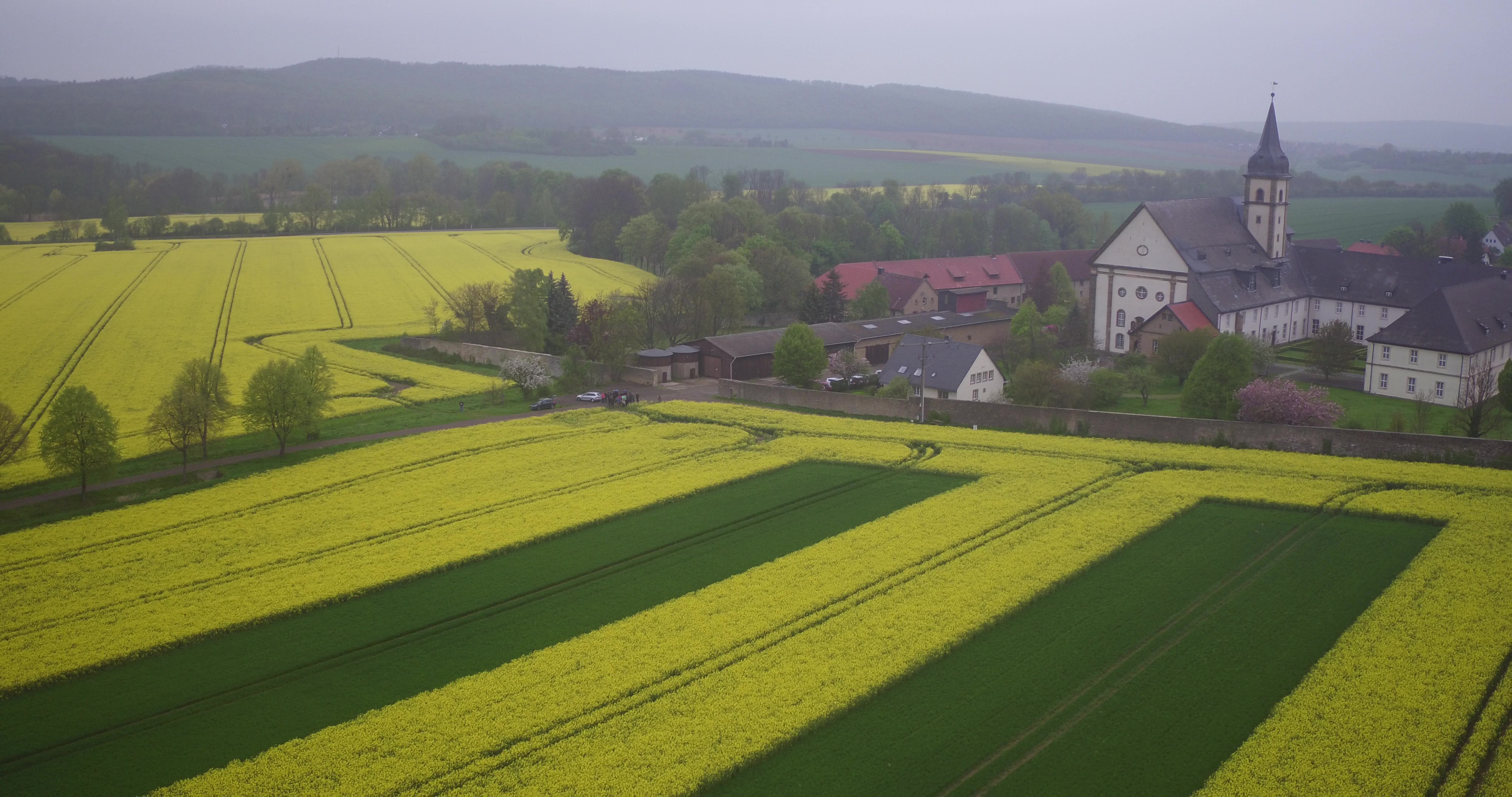 Streifenanbau 2019 auf dem Klostergut Grauhof bei Goslar